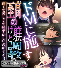 ドＭに施す至高の躾けと調教 ～痛くて苦しくて恥ずかしいのがイイ！！～【CG集コレクション ミニ】