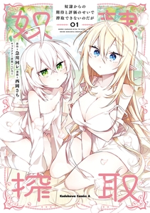 奴隷からの期待と評価のせいで搾取できないのだが　（１） [KADOKAWA]