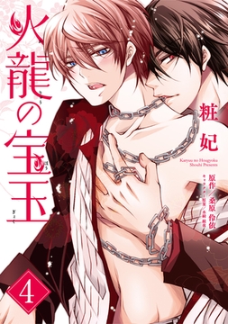火龍の宝玉（4） [コスミック出版]