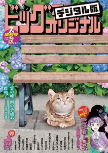 ビッグコミックオリジナル増刊 2024年7月増刊号（2024年6月12日発売） [小学館]