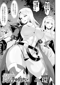 姫には手を出すなッ！ [一水社]