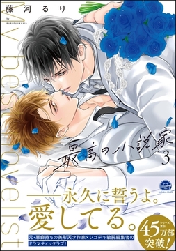 最高の小説家【電子限定かきおろし漫画付】　3 [海王社]