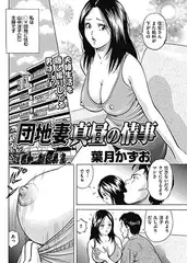 団地妻真昼の情事