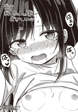 最近お兄ちゃんの様子がおかしいです [辰巳出版]