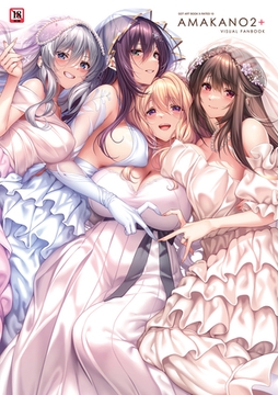 アマカノ2+ ビジュアルファンブック [ジーオーティー]