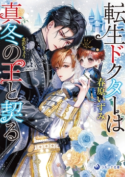 転生ドクターは真冬の王と契る [株式会社シーラボ]
