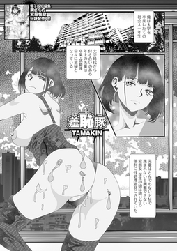 羞恥豚 [一水社]