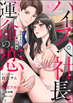 ハイスペ社長と運命の恋 逃れられない蜜愛残業　（3） [ぶんか社]