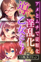 導かれて淫乱化する乙女たち！～アメとムチで従順化～【CG集コレクションBIG】