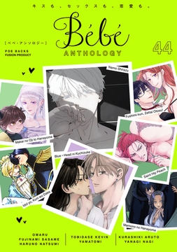 Bebe vol.44 [ふゅーじょんぷろだくと]