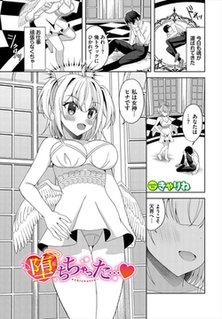 堕ちちゃった… [文苑堂]