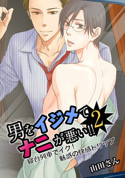 男をイジめてナニが悪い!! 2 ～寝台列車でイク！ 魅惑の快感トリップ～ [FILL-IN]