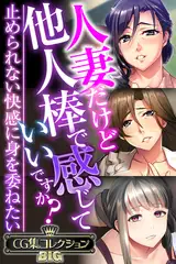 人妻だけど他人棒で感じていいですか？～止められない快感に身を委ねたい～【CG集コレクションBIG】