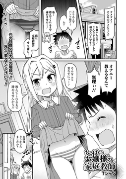 ちっぱいお嬢様の家庭教師 [一水社]