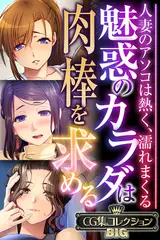 魅惑のカラダは肉棒を求める～人妻のアソコは熱く、濡れまくる～【CG集コレクションBIG】