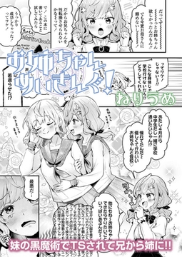 お姉ちゃんめいきんぐ! [茜新社（電子）]