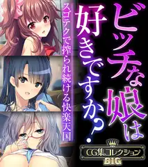 ビッチな娘は好きですか？～スゴテクで搾られ続ける快楽天国～【CG集コレクションBIG】