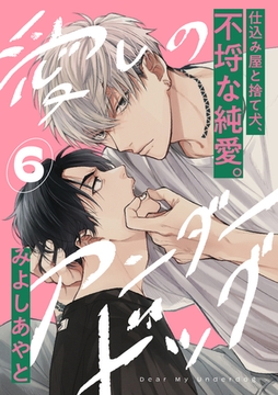愛しのアンダードッグ(6) [アメイロ]