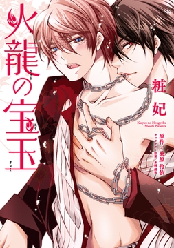 火龍の宝玉【電子単行本版】 [コスミック出版]