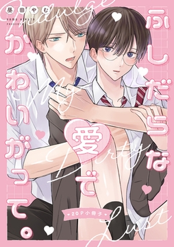 ふしだらな愛でかわいがって。【20P小冊子】 [アメイロ]