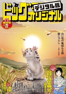 ビッグコミックオリジナル増刊 2024年11月増刊号（2024年10月11日発売） [小学館]