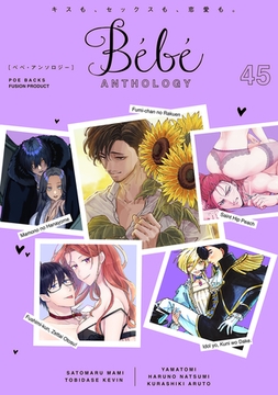 Bebe vol.45 [ふゅーじょんぷろだくと]