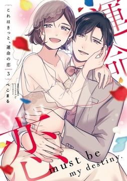 これはきっと、運命の恋 3 【電子限定おまけマンガ付き】 [宙出版]