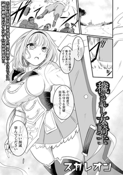 穢されし女騎士 [一水社]