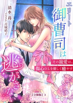 エリート御曹司は逃がさない～その寵愛は、傷心ＯＬを優しく癒やす～【分冊版】3 [宇都宮ケーブルテレビ]