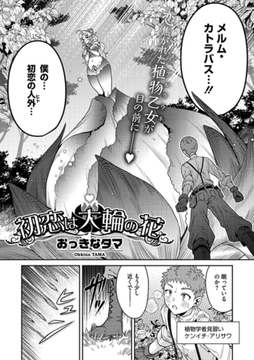 初恋は大輪の花 [コアマガジン]