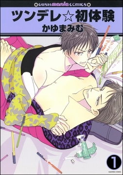 ツンデレ☆初体験（分冊版） [海王社]