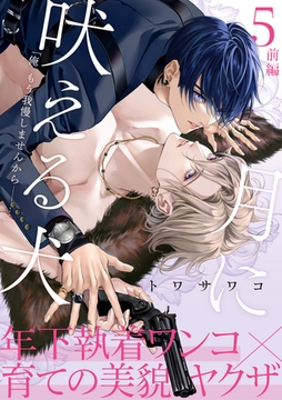 月に吠える犬(5)前編 [アメイロ]