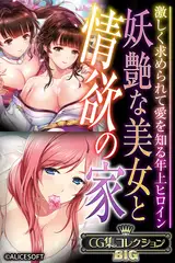 妖艶な美女と情欲の家 ～激しく求められて愛を知る年上ヒロイン～【CG集コレクションBIG】