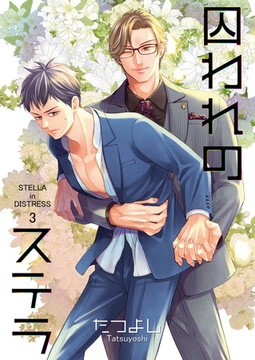 囚われのステラ3 [光彩書房]
