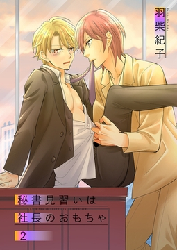秘書見習いは社長のおもちゃ2 [光彩書房]