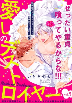 愛しのデストロイヤー(5) [ふゅーじょんぷろだくと]