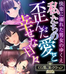 私たちの歪んだ愛と幸せな日々 ～快楽に溺れた男女のゆくえ～【CG集コレクションBIG】