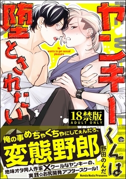 ヤンキーくんは堕とされたい【極】【電子限定かきおろし漫画付】 [海王社]