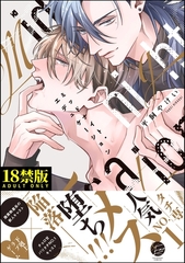 ミッドナイト・エデュケーション【極】【電子限定かきおろし漫画3P付】 [海王社]