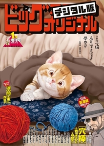 ビッグコミックオリジナル増刊 2025年1月増刊号（2024年12月12日発売） [小学館]