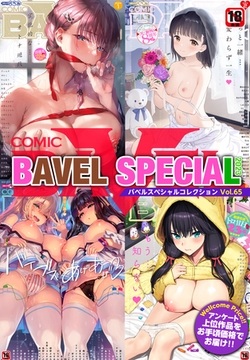 COMIC BAVEL SPECIAL COLLECTION（コミックバベル スペシャルコレクション）VOL65 [文苑堂]