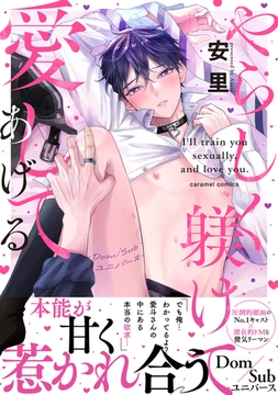 やらしく躾けて愛してあげる−Dom／Subユニバース−【単行本版／電子限定おまけ付き】 [モバイルメディアリサーチ]