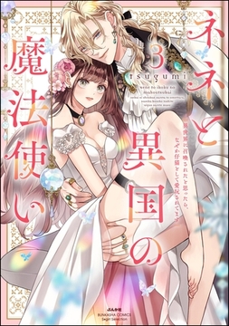 ネネと異国の魔法使い 異世界に召喚されたと思ったら、なぜか仔猫として愛玩されてます【かきおろし漫画＆電子限定ペーパー付】　（3） [ぶんか社]