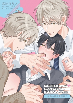 不機嫌イトコがかわい過ぎて仕方ない side直樹【特典小冊子電子版2】 [英和出版社]