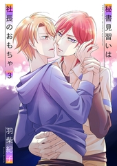 秘書見習いは社長のおもちゃ3 [光彩書房]