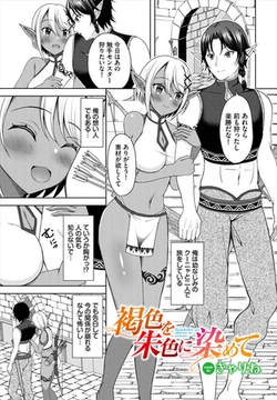 褐色を朱色に染めて [文苑堂]