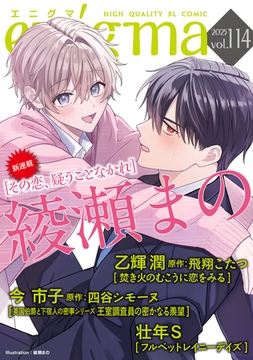 enigma vol．114 [オークラ出版]