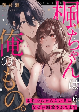 楓ちゃんは俺のもの。～素性のわからない男になぜか溺愛されてます～第6話 [イマジナリーワークス]