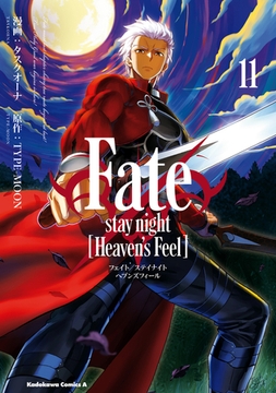 Fate/stay night [Heaven's Feel](11) [KADOKAWA]