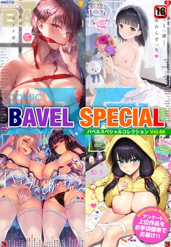 COMIC BAVEL SPECIAL COLLECTION（コミックバベル スペシャルコレクション）VOL66 [文苑堂]